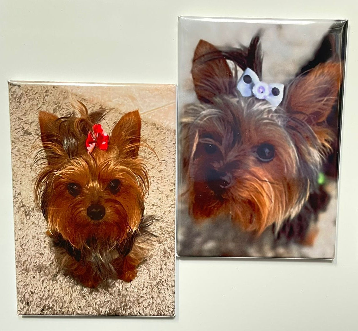 Ímanes Personalizados com os vossos animais favoritos